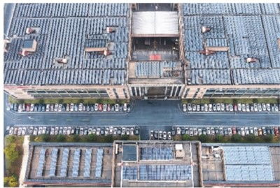 綠色工廠 綠 意盎然